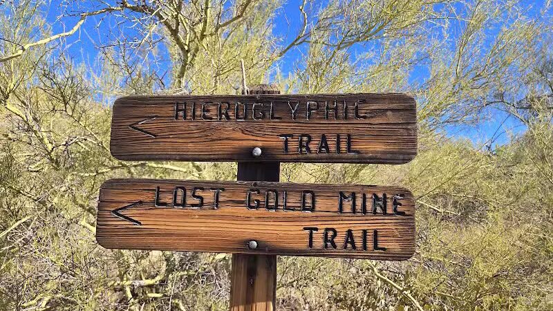 Lost Goldmine Trailhead and Cougar loop - Gold Canyon, AZ
