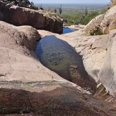 Lost Goldmine Trailhead and Cougar loop - Gold Canyon, AZ