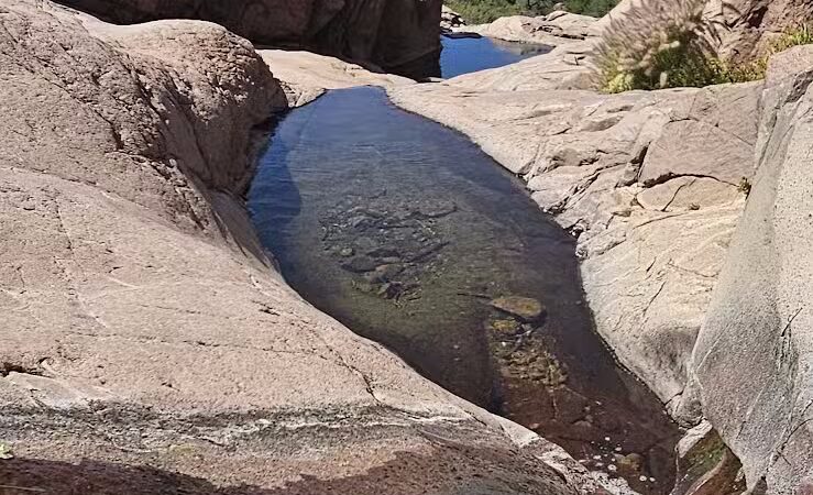 Lost Goldmine Trailhead and Cougar loop - Gold Canyon, AZ