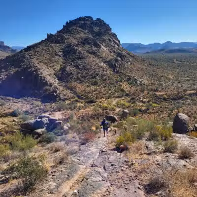 Lost Goldmine Trailhead and Cougar loop - Gold Canyon, AZ