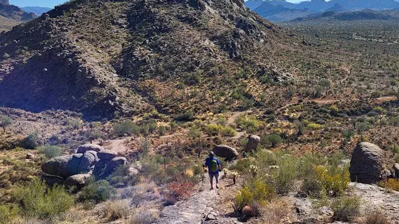 Lost Goldmine Trailhead and Cougar loop - Gold Canyon, AZ