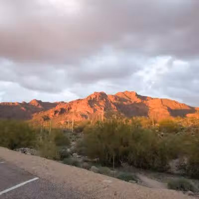 Lost Goldmine Trailhead and Cougar loop - Gold Canyon, AZ