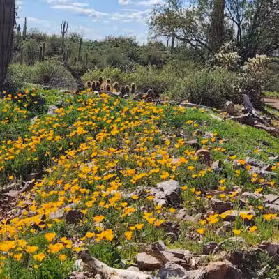 Peralta Regional Park - Gold Canyon, AZ