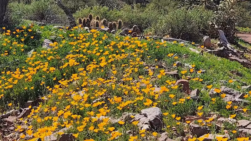 Peralta Regional Park - Gold Canyon, AZ
