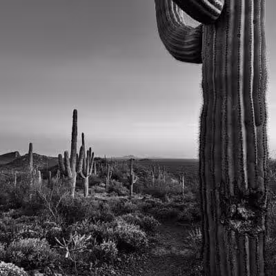 Peralta Regional Park - Gold Canyon, AZ