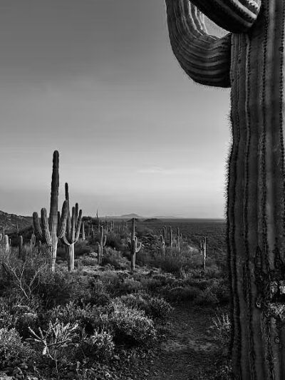 Peralta Regional Park - Gold Canyon, AZ
