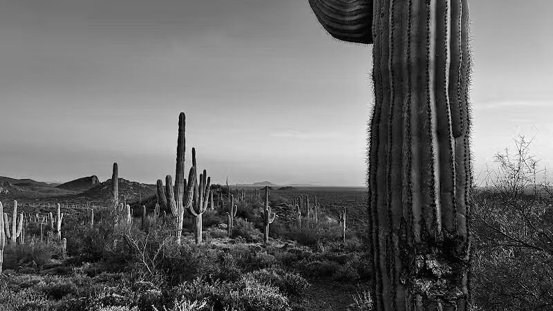Peralta Regional Park - Gold Canyon, AZ