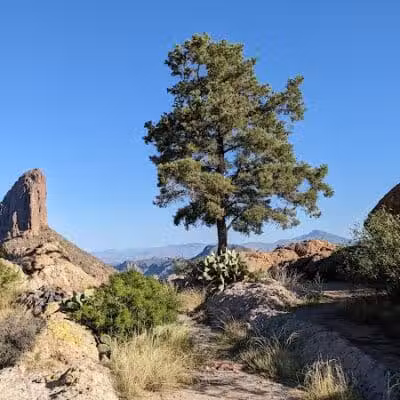 Peralta Trailhead - Gold Canyon, AZ