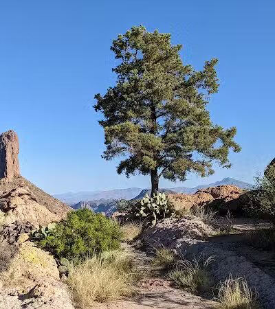 Peralta Trailhead - Gold Canyon, AZ