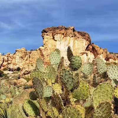 Peralta Trailhead - Gold Canyon, AZ