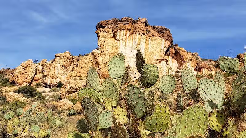 Peralta Trailhead - Gold Canyon, AZ
