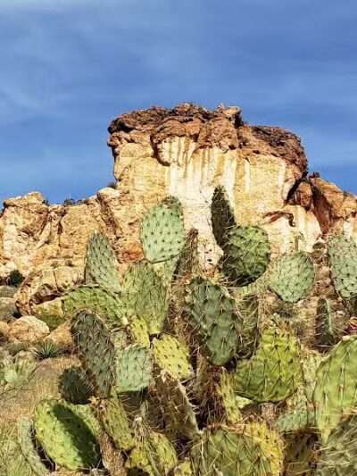 Peralta Trailhead - Gold Canyon, AZ