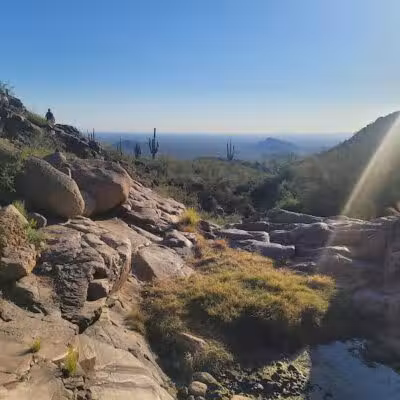 Petroglyph Spring - Gold Canyon, AZ