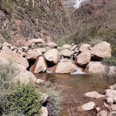 Petroglyph Spring - Gold Canyon, AZ