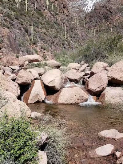 Petroglyph Spring - Gold Canyon, AZ