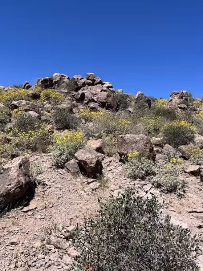 Petroglyph Spring - Gold Canyon, AZ