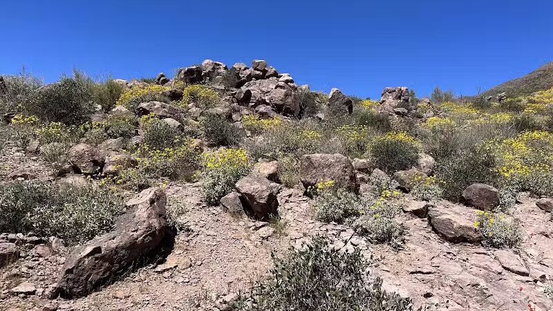 Petroglyph Spring - Gold Canyon, AZ