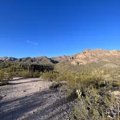 Petroglyph Spring - Gold Canyon, AZ