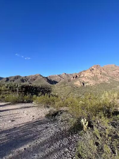 Petroglyph Spring - Gold Canyon, AZ