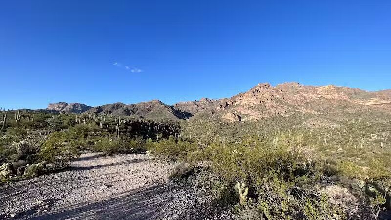 Petroglyph Spring - Gold Canyon, AZ