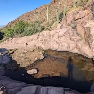Petroglyph Spring - Gold Canyon, AZ