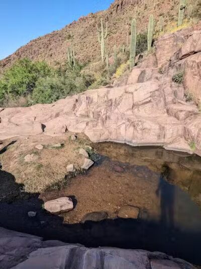Petroglyph Spring - Gold Canyon, AZ