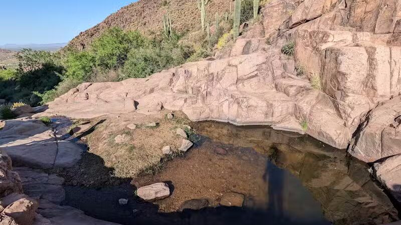 Petroglyph Spring - Gold Canyon, AZ
