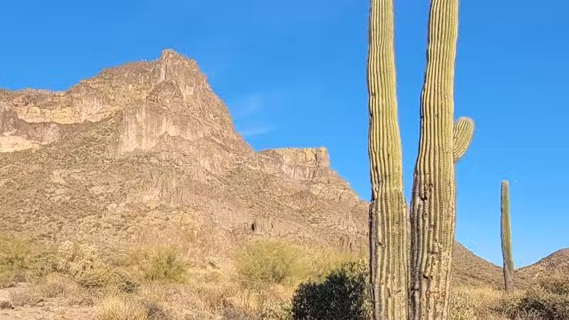 Petroglyph Spring - Gold Canyon, AZ