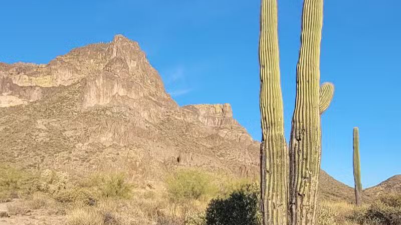 Petroglyph Spring - Gold Canyon, AZ