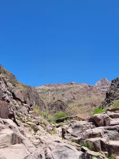 Petroglyph Spring - Gold Canyon, AZ