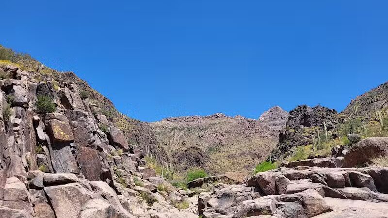 Petroglyph Spring - Gold Canyon, AZ