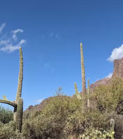 The Wave Cave - Gold Canyon, AZ