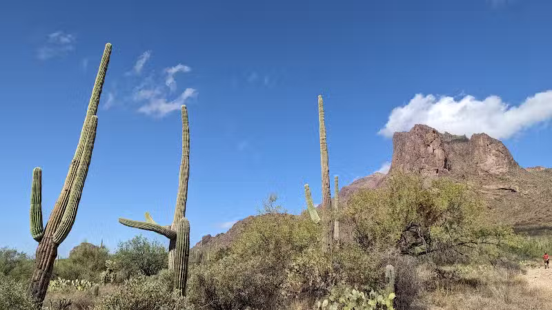 The Wave Cave - Gold Canyon, AZ