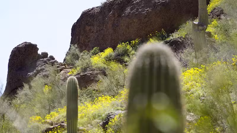 The Wave Cave - Gold Canyon, AZ