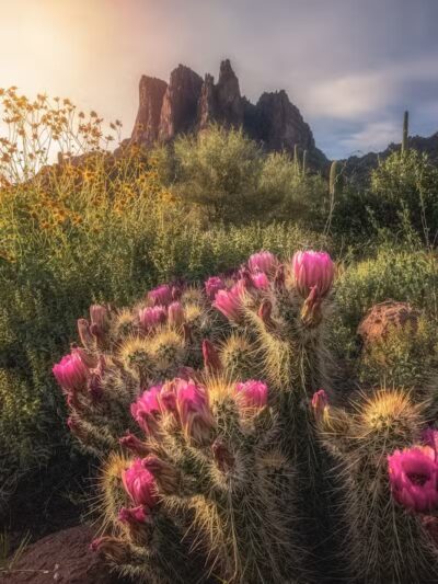 The Wave Cave - Gold Canyon, AZ