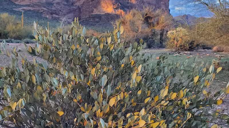 The Wave Cave - Gold Canyon, AZ