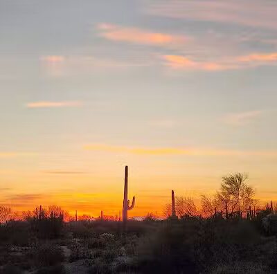 The Wave Cave - Gold Canyon, AZ