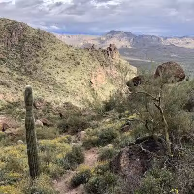Carney Springs Trailhead - Gold Canyon, AZ