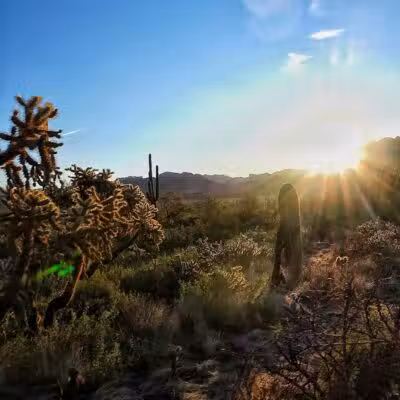 Carney Springs Trailhead - Gold Canyon, AZ