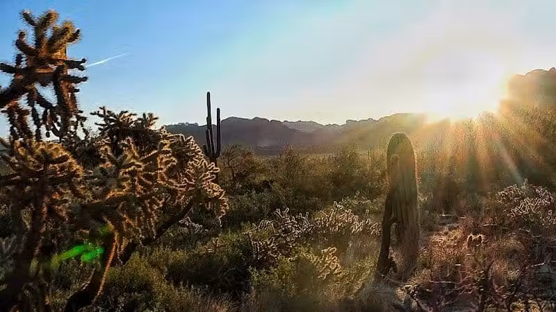 Carney Springs Trailhead - Gold Canyon, AZ