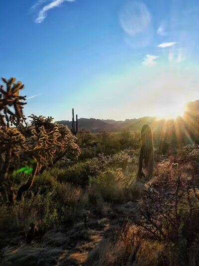 Carney Springs Trailhead - Gold Canyon, AZ