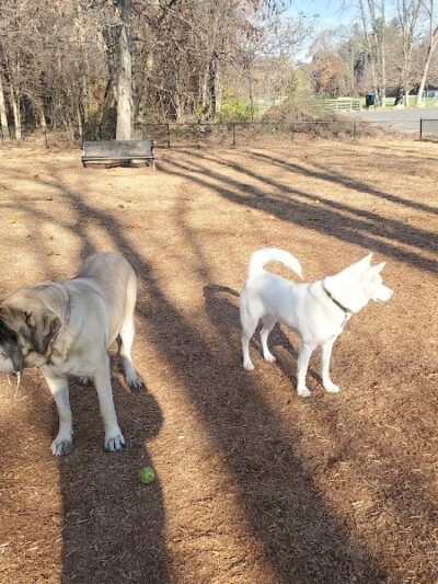Granby Dog Park - Granby, CT