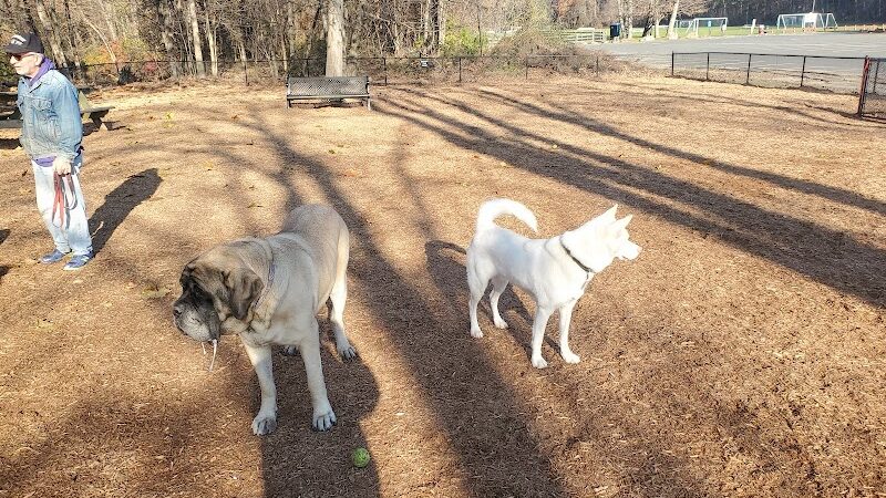 Granby Dog Park - Granby, CT