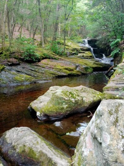 Granby Dog Park - Granby, CT
