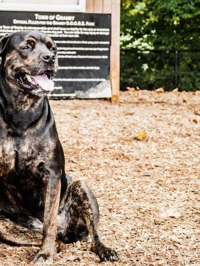 Granby Dog Park - Granby, CT