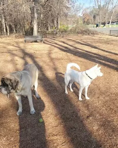 Granby Dog Park - Granby, CT