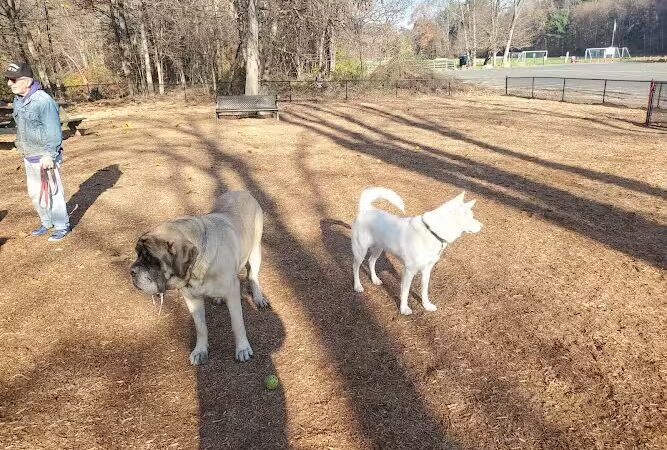 Granby Dog Park - Granby, CT