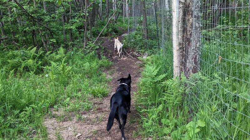 Grand Marais Dog Park by Go Dog North Shore - Grand Marais, MN