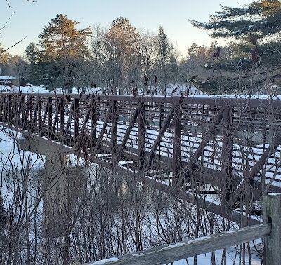 Grand Rapids Dog Park - Grand Rapids, MN