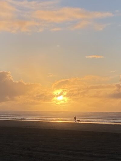 Grayland Beach Oba State Park Drive On Access - Grayland, WA